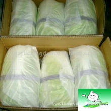 Fresh Chinese Cabbage with packing box